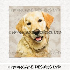 Golden Retriever Dog Fabric Craft Panels in 100% Cotton or Polyester