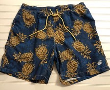 Mens Pineapple Blue Swim Trunks Sz L Aloha Hawaiian Lined Pockets
