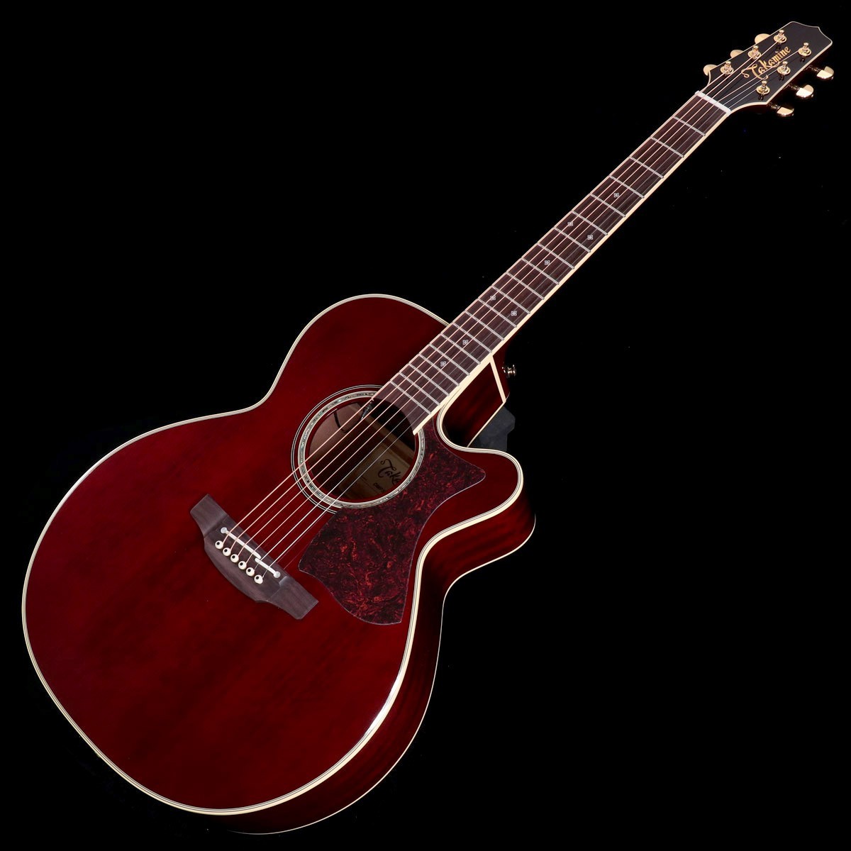 Takamine / DMP551C WR [500 Series] Acoustic Electric Guitar