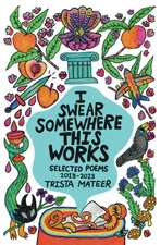 I Swear Somewhere This Works: Selected Poems 2013-2023 - paperback Mateer, T...