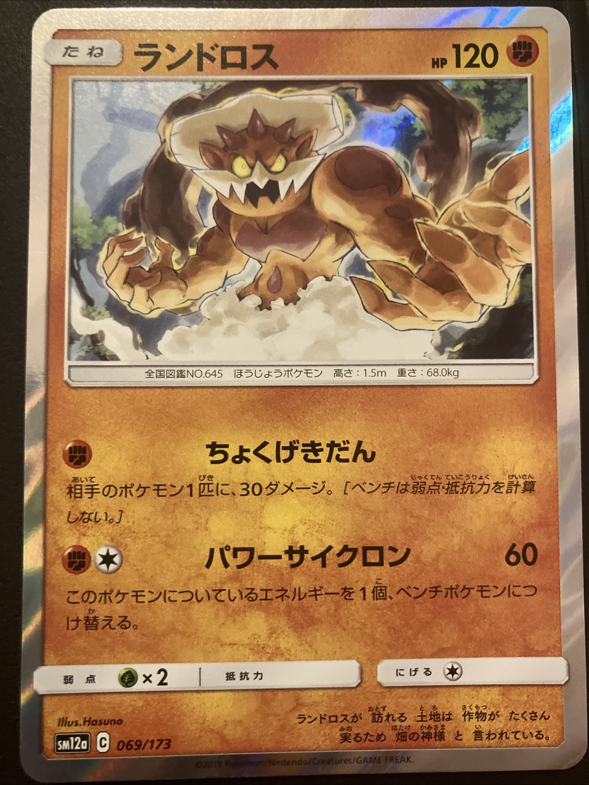 Landorus 069/173 Sm12a: Tag Team GX: Tag All Stars Holo (Japanese)