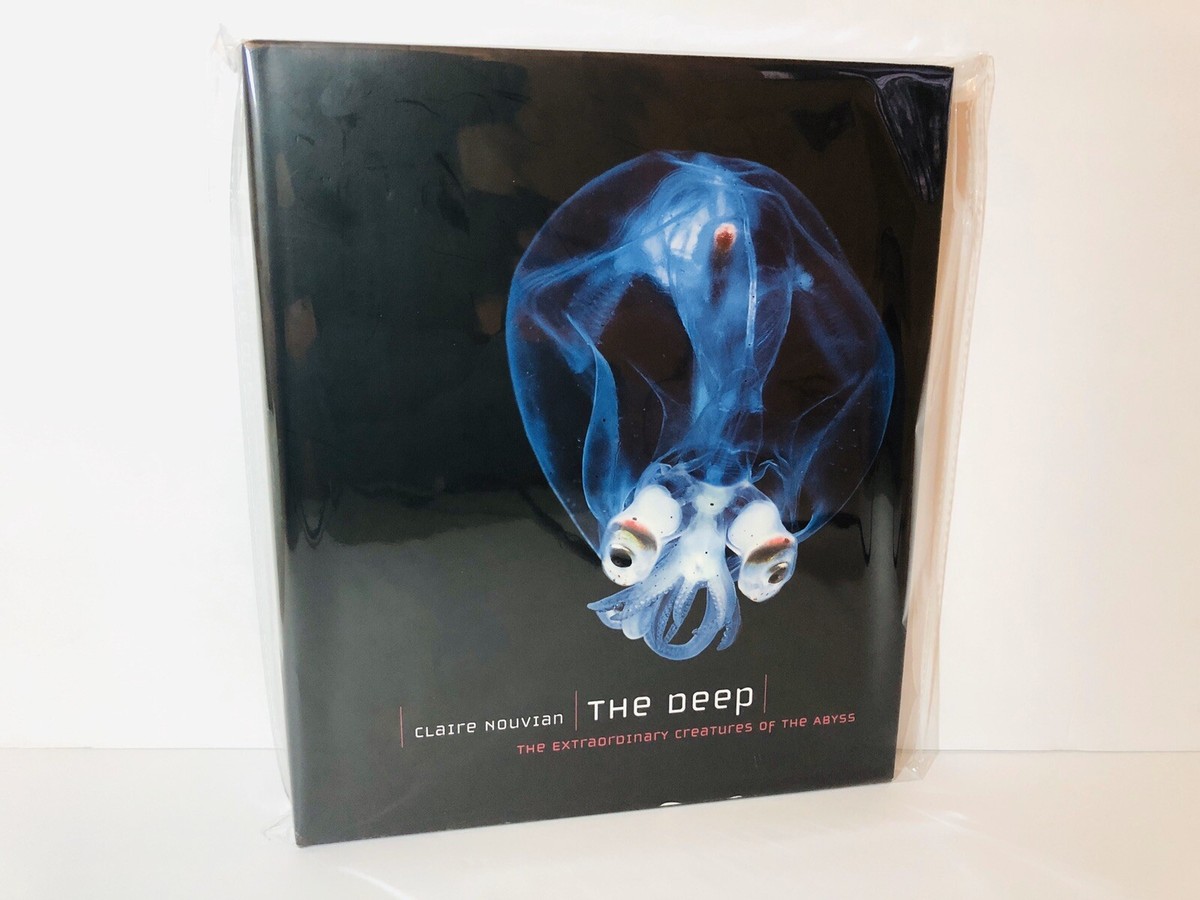 The Deep The Extraordinary Creasures of The Abyss University 