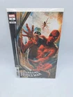 The Amazing Spider-Man #1 Lee Bermejo Variant Cover Marvel 2025