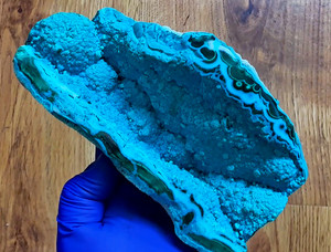 Chrysocolla Botryoid Large 6.5" Presentation w/ Chatoyant Malachite - US Seller!