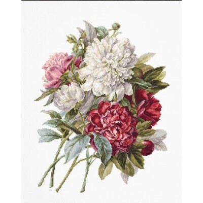 Counted Cross Stitch Kit Peonies Flowers Luca-S DIY