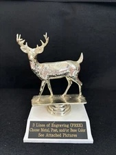 Buck Deer Trophy. (Please See All Photos)