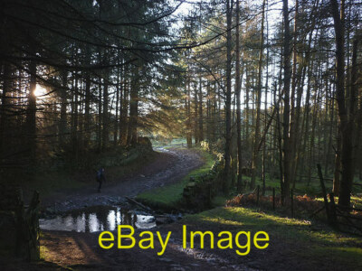 Foto 6x4 Ford im Rechen Beck Wood Nach so viel Wandern auf dem baumlosen c2012