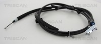 Bremsseil Seilzug Feststellbremse Triscan 8140 161169 FüR MAX CEU Ford DXA CB7