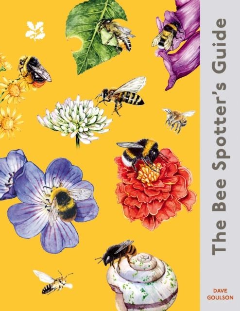 The Bee Spotter's Guide (National Trust) by Dave Goulson