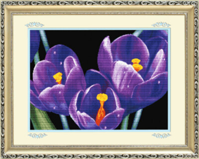 Monalisa 11CT cross stitch kits ''Purple Tulip''-80cm*60cm