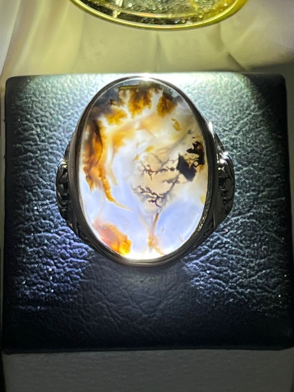 Picture 5 of 21