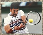 Novak Djokovic Signed Autographed Photo 8x10 Glossy Photo Hand Signed Autograph
