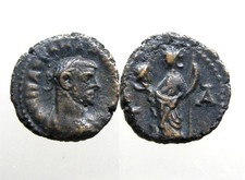  on The Hot Collector