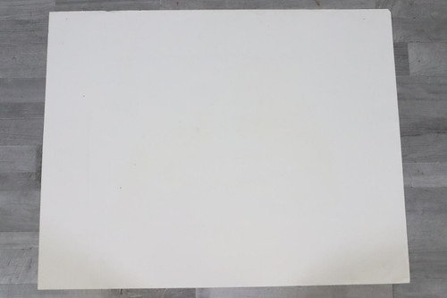 Zwei Papageien Lithografie handsigniert TING Walasse (1929-2010) (GU521) - Bild 13 von 13