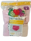 Fruit of the Loom Girls Basic Briefs 10 Count panties in Open Package Size 6