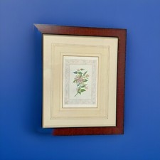 Floral Print Framed and Nicely Matted 10 5/8  X 12 5/8  Wall Hanging