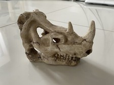 17cm Aquarium Fish Tank Animal Skull Dinosaur Rhino Ornament Decoration Horned