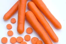 1000+ Bolero Carrot Seeds for Garden Planting - USA - FREE SHIPPING!