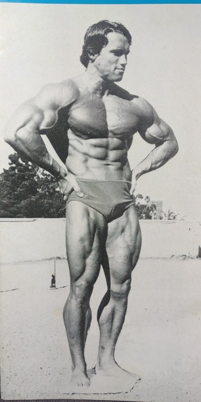 1977 Films and Filming Arnold Schwarzenegger Circus Maximus Valentino Gore Salo
