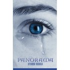 Panorama by Ifeoma Ndiolo (Paperback, 2013)