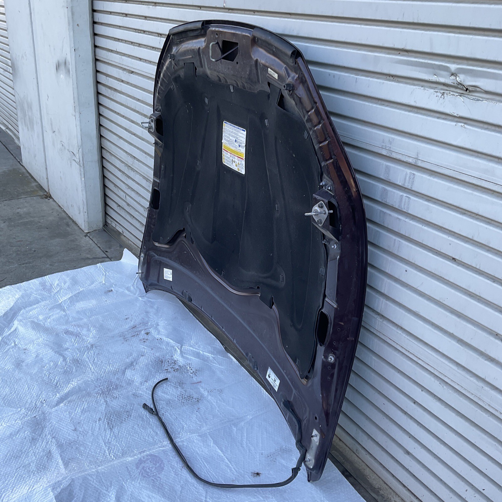 2014-2020 Maserati Ghibli SQ4 Hood  Purple OEM