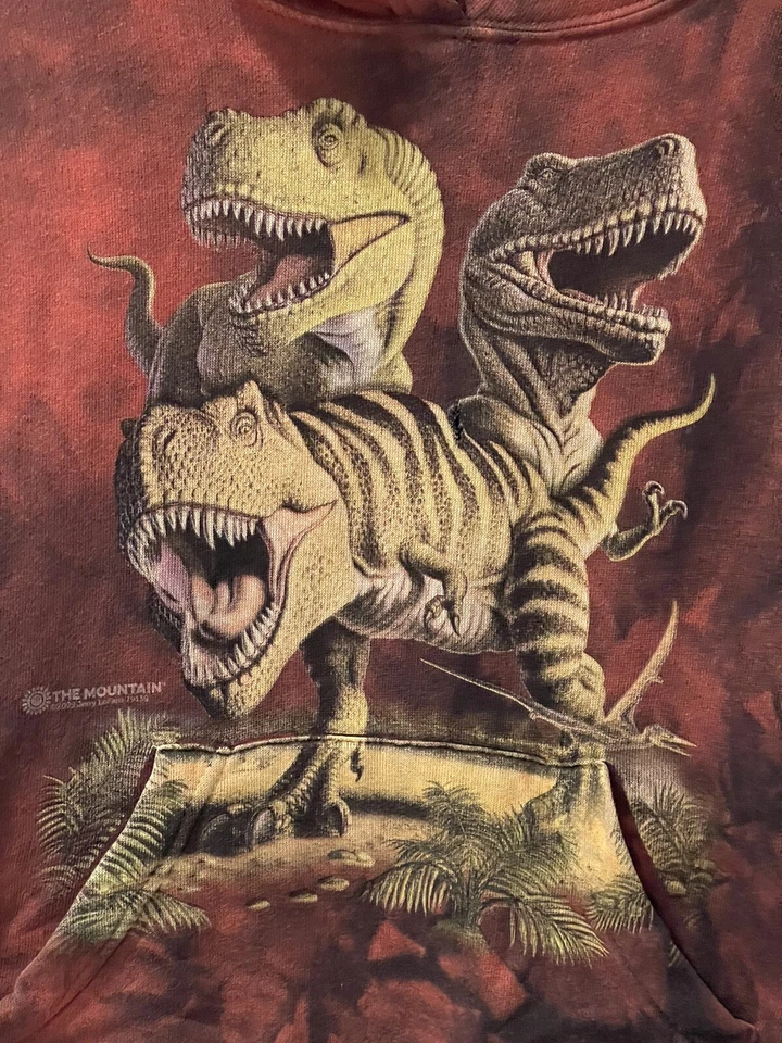 Sudadera con Capucha Dinosaurio Vintage The Mountain “T-Rex” Juvenil Mediana Bin 1 Foto 2 de 4