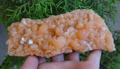 Stilbit Rock Kristalle & Mineral Exemplare G =