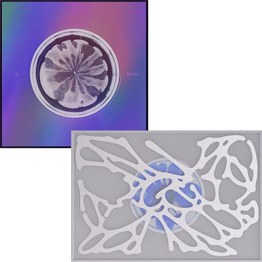 XG NEW DNA CD、10枚 XG NEW DNA CD、10枚 XG NEW DNA CD、10枚 XG [NEW DNA] 1st