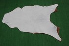 GOAT Western taxidermy Hide Rug Natural Pattern Fur Goat Hide Rode SA-3903 — photo 2