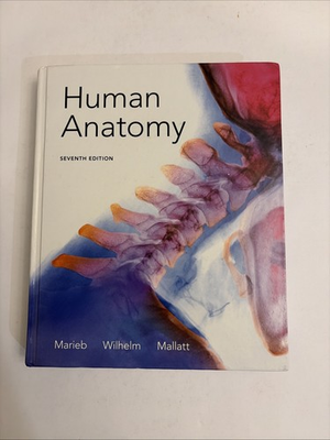 #ad Human Anatomy 7th Edition Hardcover By Marieb Elaine N. GOOD $29.95