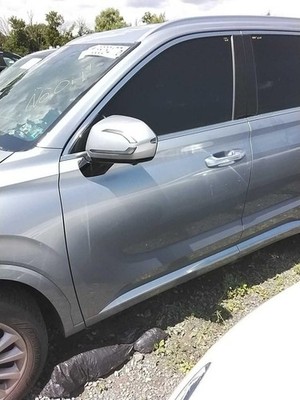 (LOCAL PICKUP ONLY) Driver Left Front Door With Acoustic Glass Fits 20-22 PALISA