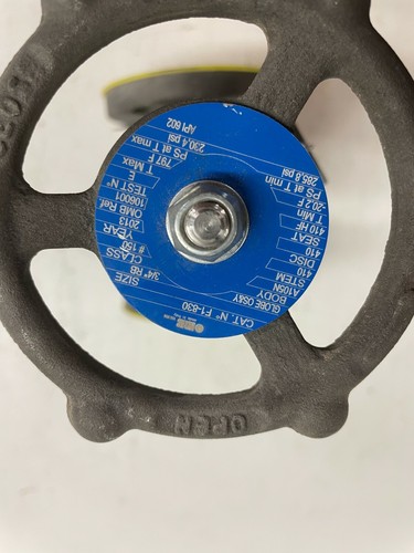 OMB F1-830 Globe Valve 3/4" 150 RF Flanged A105N Forged Steel API Trim #8 - Picture 3 of 12