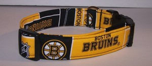 bruins dog collar
