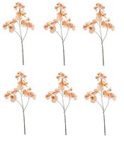 6Er Set KüNstliche Wickenzweige Peach Orange H. 75Cm Emerald Kunstblumen