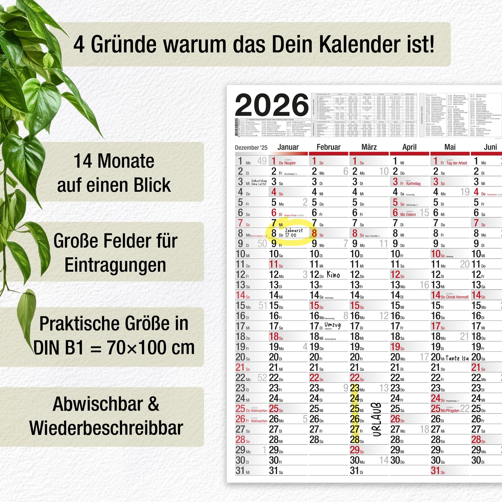 Bild 3 von 15