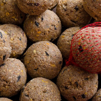 Meisenknödel Premium mit Insekten 200 x ca.90 Gramm mit Netz 4 Jahreszeiten