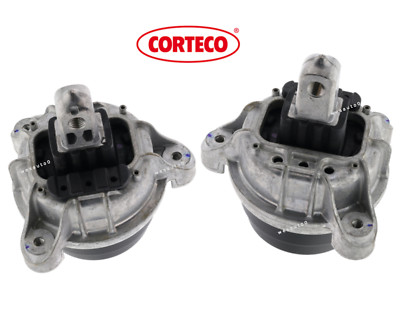 Engine Motor Mount Hydraulic Lt & Rt 2pcs OEM for BMW 528i xDrive 12-16