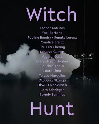 Anne Ellegood (u. a.) | Witch Hunt | Buch | Englisch (2021) | Gebunden