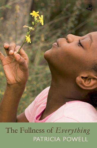 Патриция Пауэлл Полнота всего (Taschenbuch)