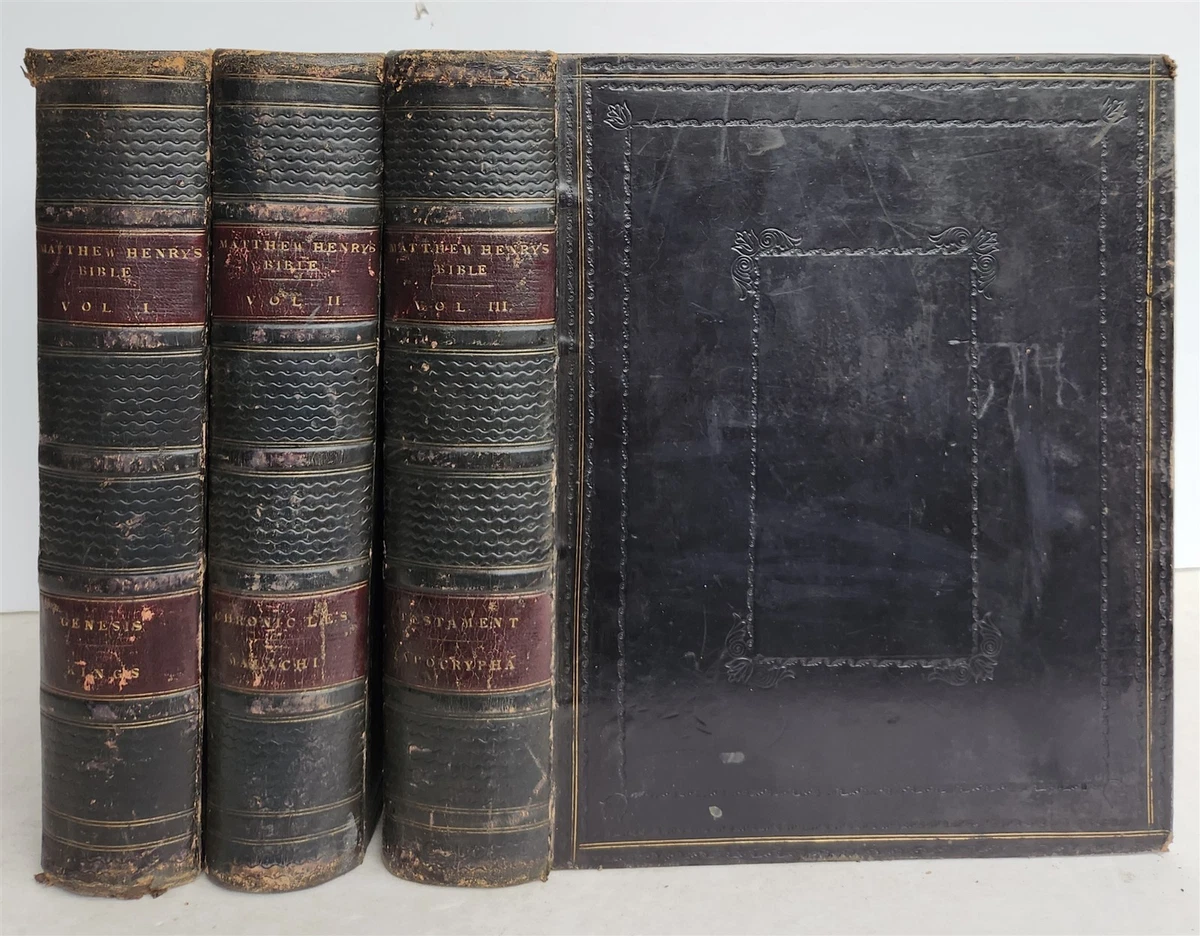 Illustrated Bible 1850-1899 Antiquarian & Collectible Books for