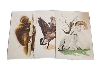 Vtg CURRENT Animal Blank Notecards 24 5''x7'' Different Design, 12 4''x5'' Cat 4 Des