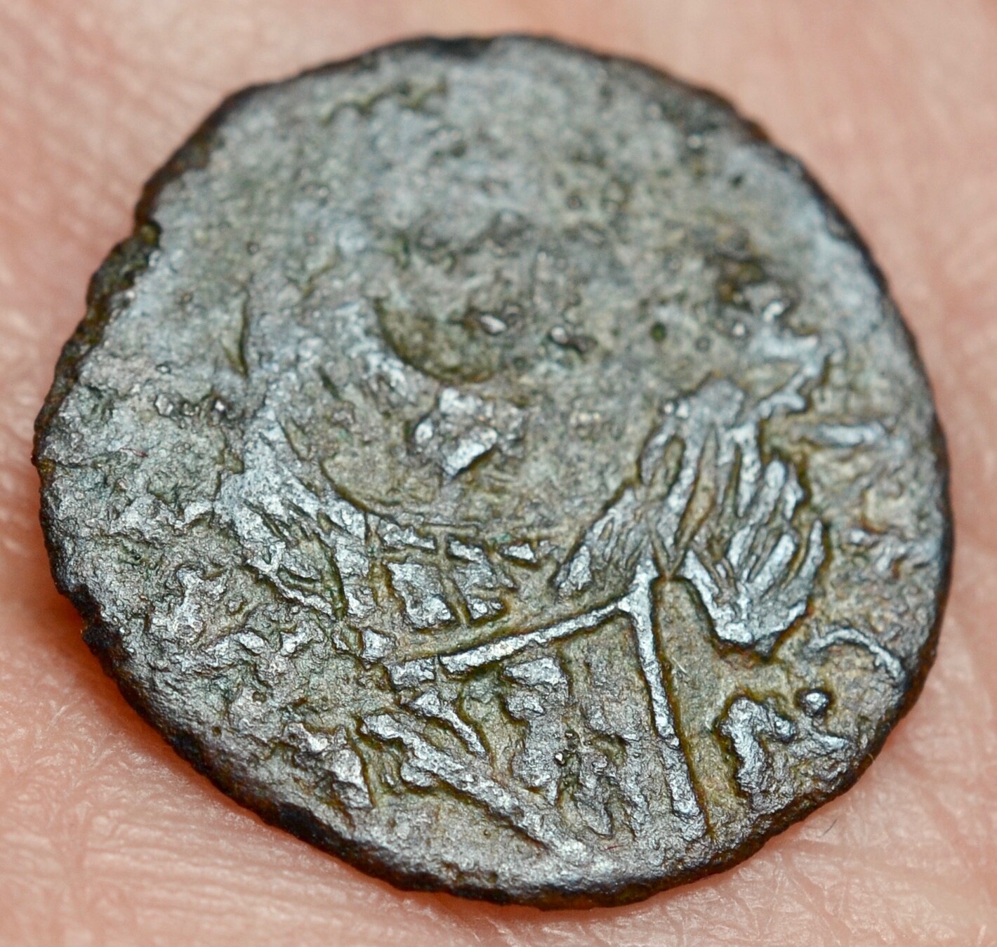 Picture 2 of 2