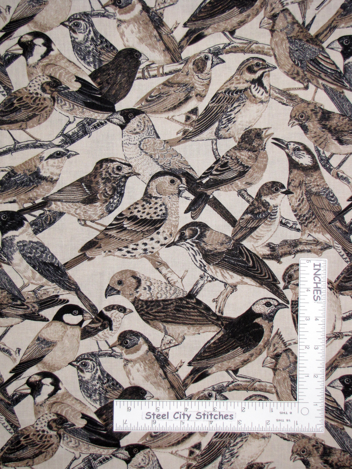 Bird Animal Birds Fabric Avian Beige Brown Cotton Timeless Treasures C9576 Yard