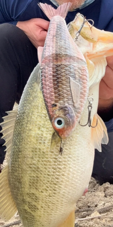 TYG Silencer Shimmer Shad Glide bait swimbait custom 7 inch 2 Glide baits KGB - Image 2 of 4