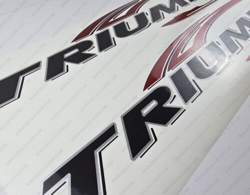 TRIUMPH 190 BAY BOAT 2005 SILVER LOGO DECALS STICKERS Set of 2 X 39" LONG - Bild 2 von 7