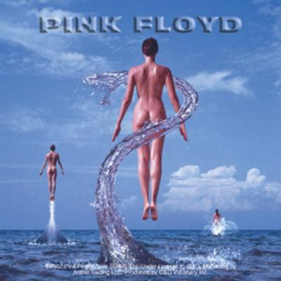 Licenses Products Pink Floyd Shine Album Sticker