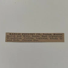 Kansas Poultry Co Barred & White Rocks Norton KS 1911 Clipping SAH7-S31