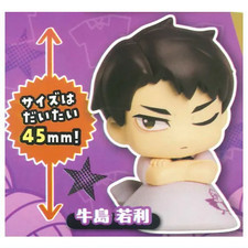 Wakatoshi Ushijima Haikyu! Mini Figura Pequeña Futón Onemutan Vol.2 Segundo Uniforme