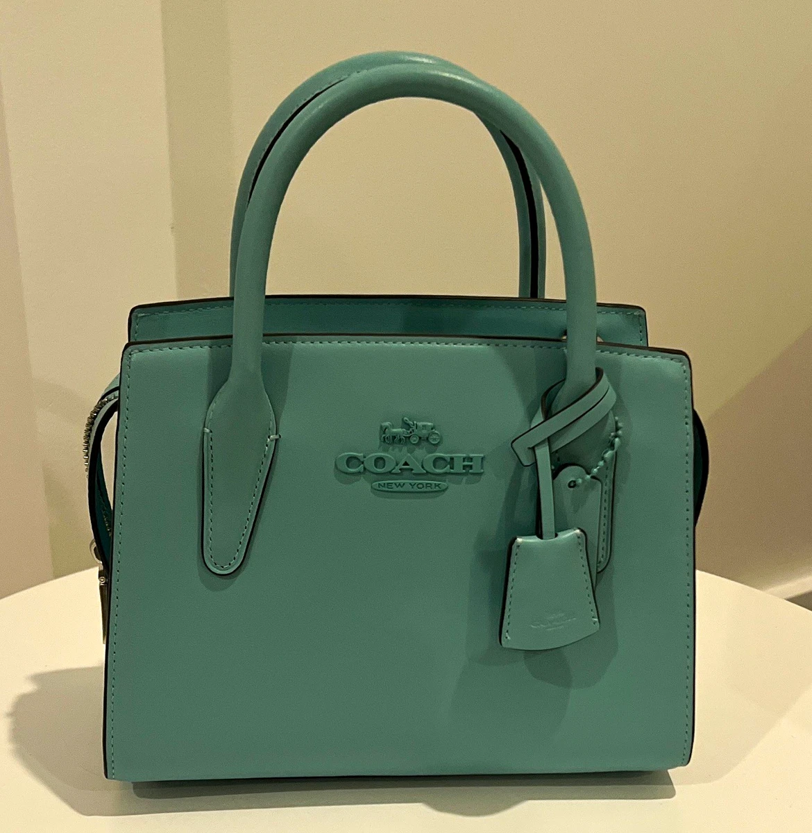 レディース ✨良品✨️COACH コーチ ショルダーバッグ シグネチャー 総 