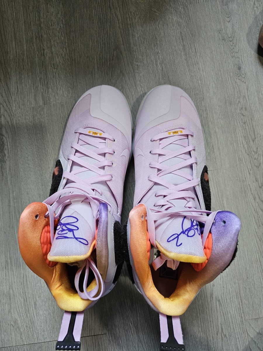 Nike LeBron IX - Regal Pink / Multi-Color (DJ3908-600) Size 9.5